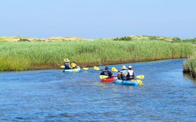 Top Family Activities on Cape Cod: 2021 Winners